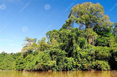 《斗仙界》0.1折手游新體驗 爽快世界，代理開發新機遇